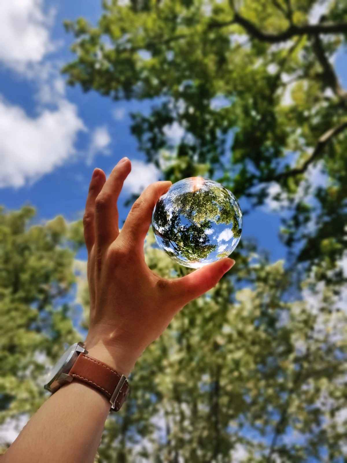 Sustainability
